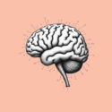 AI and Human Cognitive Development: How AI Helps Improve Cognitive Abilities Through Brain Training