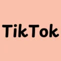 The Txt 'TikTok' (Perplexity AI Revised Bid to Merge TikTok Amidst the U.S-TikTok Saga)