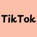 Perplexity AI Revised Bid to Merge TikTok Amidst the U.S-TikTok Saga