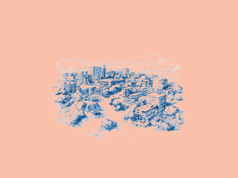 Silicon Valley