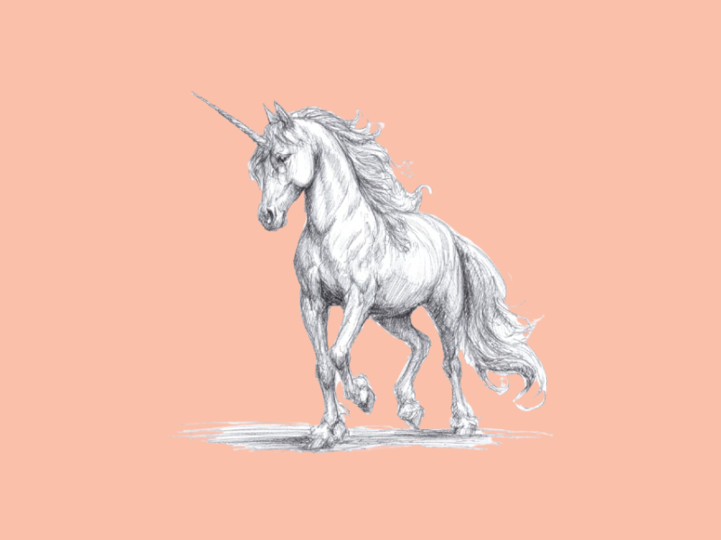 A unicorn