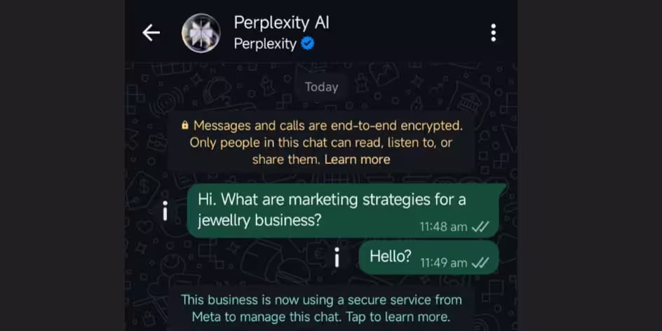 Perplexity AI on WhatsApp