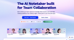 tldv landing page